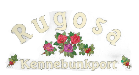 Rugosa Lobster Tours