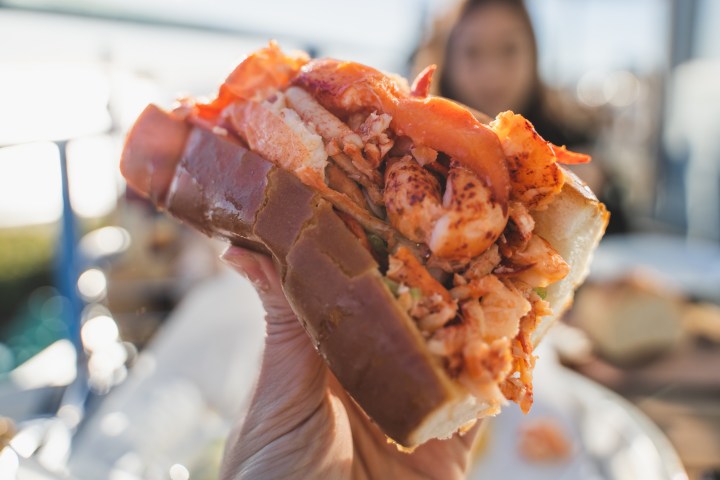 a close up of a hand holding a piece of food